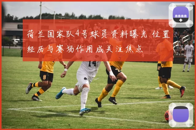 荷兰国家队4号球员资料曝光 位置经历与赛场作用成关注焦点