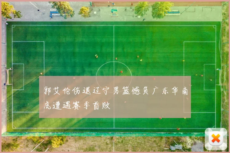 郭艾伦伤退辽宁男篮憾负广东华南虎遭遇赛季首败