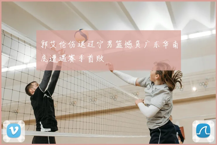 郭艾伦伤退辽宁男篮憾负广东华南虎遭遇赛季首败