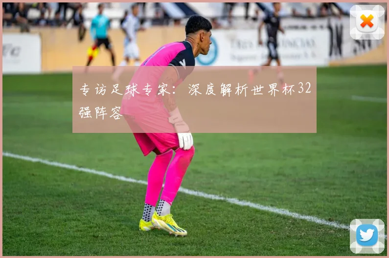 专访足球专家：深度解析世界杯32强阵容